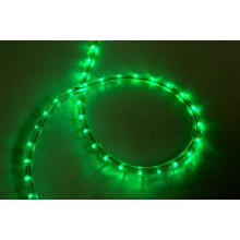 LED Rope Light / LED Strip Light (SRRLS-2W)